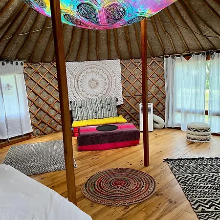 Les Jardins De Chiron Et Tiny House Dans Le Sud Sauve